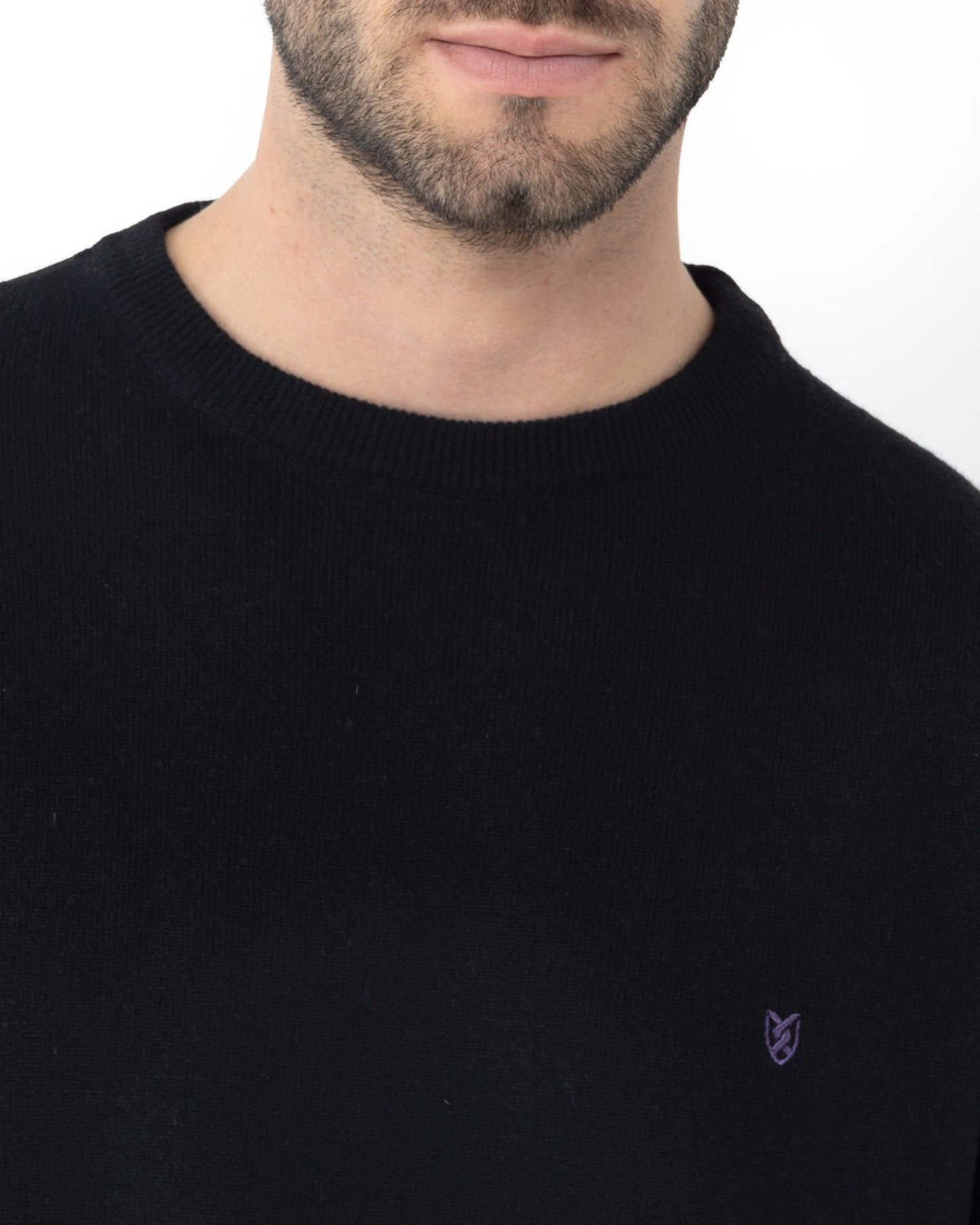 Bostonians Regular Fit Lambswool Black Knit Crewneck