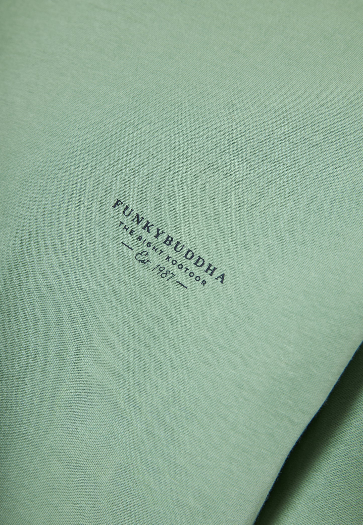 Funky Buddha Sage Green T-Shirt