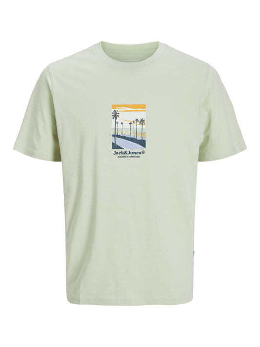 Jack&Jones Regular Fit JORSPLIT Celadon Tint T-Shirt