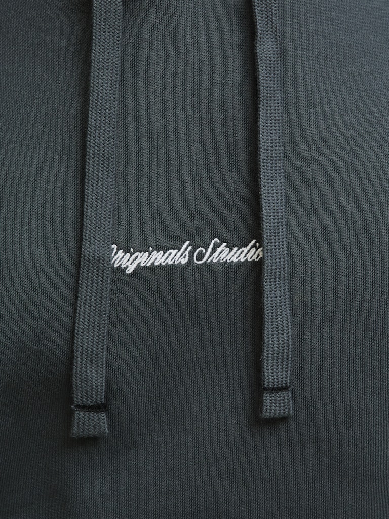 Jack&Jones JORNORREBRO Forest River Hoodie Sweater